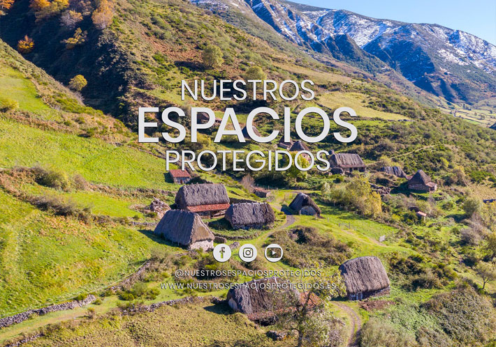 espacios-protegidos-web-clinic-web