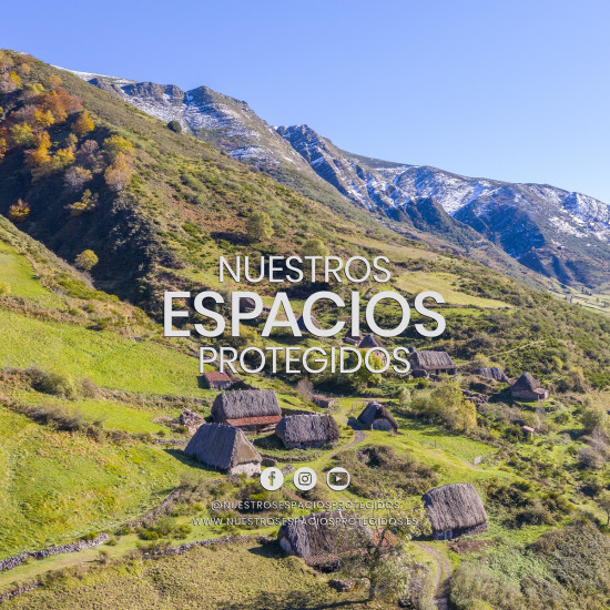 Logo NEP con redes negro