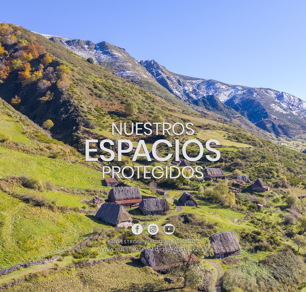 Logo NEP con redes negro