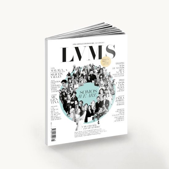 LVMS_MAG_n3_03